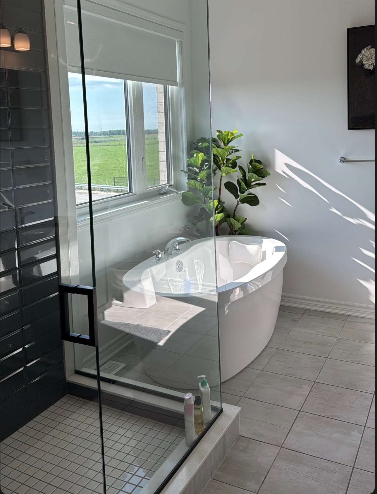 Washroom cleaning